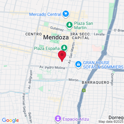 Google Maps static image
